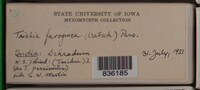 Image Associated With the Occurence